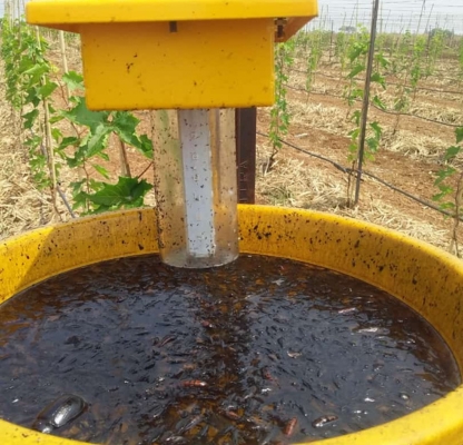 Solar Insect Light Trap image